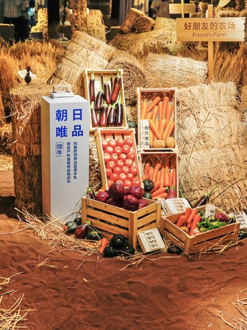 朝日唯品｜我们将有机农场搬到城市，与你见证20年养土里程碑