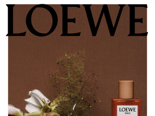 2023 LOEWE罗意威彩虹植物学系列香氛大片重磅发布