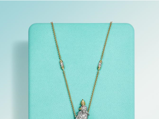 蒂芙尼发布史隆伯杰系列（Schlumberger by Tiffany & Co.TM） “石上鸟”秋季新作，呈献璀璨黄钻与钻石设计 