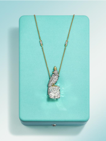 蒂芙尼发布史隆伯杰系列（Schlumberger by Tiffany & Co.TM） “石上鸟”秋季新作，呈献璀璨黄钻与钻石设计 