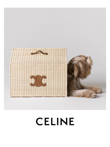 Celine 推出全新 Maison CELINE Dog 宠物配饰系列