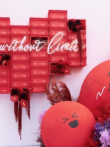 好菌无国界、美丽不设限「每日博士」携手「lost in echo」开启健康时尚生活方式