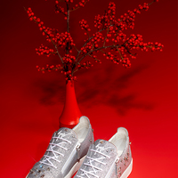 耀目新岁 Giuseppe Zanotti 推出2024年农历新年胶囊系列