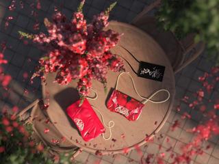 Alexander McQueen亚历山大麦昆 呈现2024中国新年特别系列