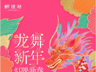 祥龙祈福 瑞兽迎春 相约颐堤港，邂逅国潮艺术灯展
