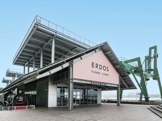 洄响 FLOWING FLOWER