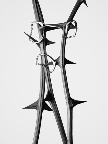 TOTEME推出全新雕塑感珠宝大片 “THORNS BY GUIDO MOCAFICO”