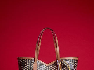 Moynat为庆祝乙巳蛇年，推出2025新春限定系列