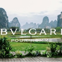 三十而遇，再启新程 BVLGARI宝格丽大吉岭茶系列三十周年庆典致敬经典之作