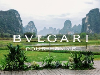 三十而遇，再启新程 BVLGARI宝格丽大吉岭茶系列三十周年庆典致敬经典之作