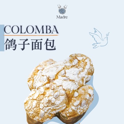 一只“胖鸽子”，捎来春日的祝福