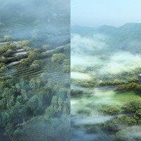 世遗景迈山×万国茶会 | 以茶为媒，融通世界