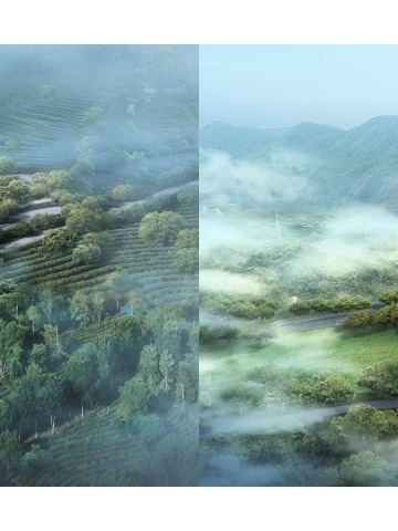 世遗景迈山×万国茶会 | 以茶为媒，融通世界