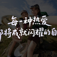 掌中高定，闪耀盛夏 荣耀 Magic V Flip2 全系发布