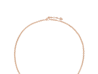 La Rose Dior玫瑰诗篇，全新作品献礼自然挚爱