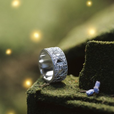 迪奥呈献圣诞臻选珠宝腕表 璀璨礼颂梦幻节日