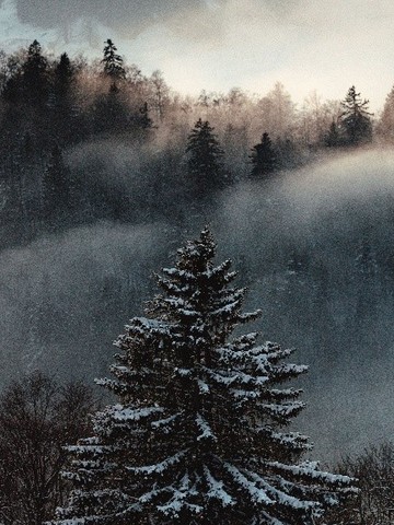 积家呈献年度主题“匠艺之谷” 冰雪秘境铸就精准之源 