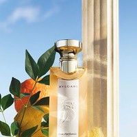 全新宝格丽帝王红茶 标志性传奇之茶系列的匠心力作