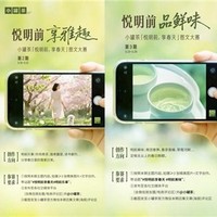 春茶不散场：从明前“鲜”锋到雨前“醇”香，小罐茶的春日品质接力