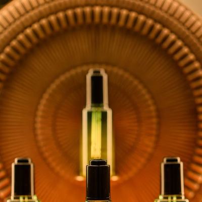 Aveda艾梵达奇迹护发精油——让头发恢复“自己变好的能力”
