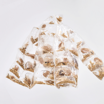 BioFleax®生物基材料亮相Stella McCartney H&M系列