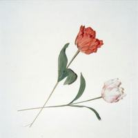 SAINT LAURENT RIVE DROITE圣罗兰北京右岸精品店 安迪·沃霍尔摄影展