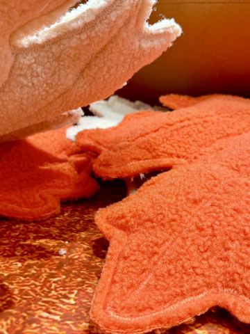 UGG® 以线下文化体验连接全球消费者，共赴自在秋冬 