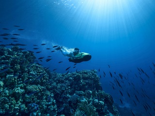 沙特阿拉伯红海谢巴拉度假村： 探索红海纯净海域，开启海洋探险之旅