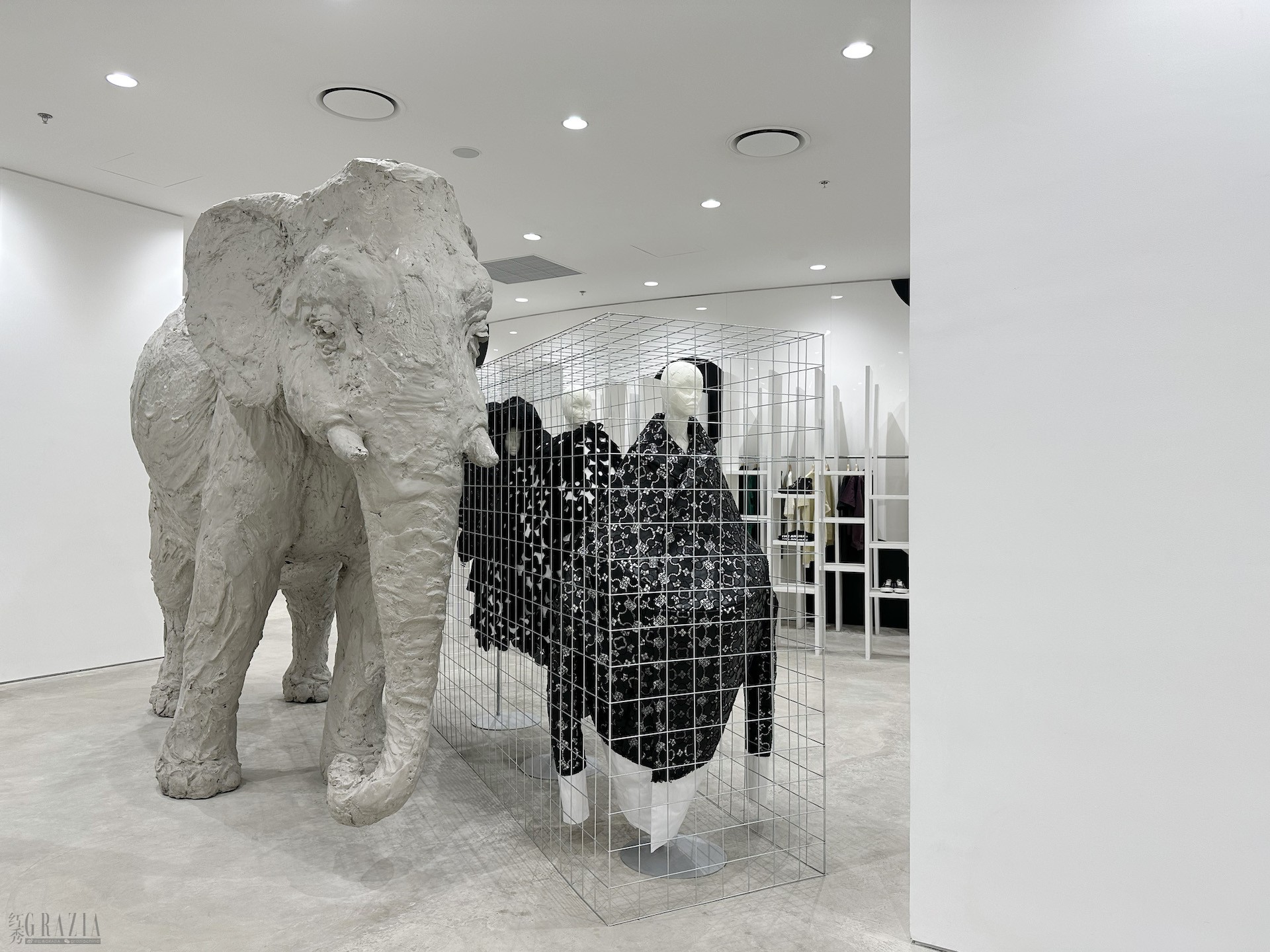 1F - Elephant Space - CDG Installation.jpg